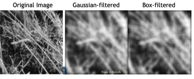 Differences between Gaussian and Box filtering